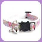 Kitten-133